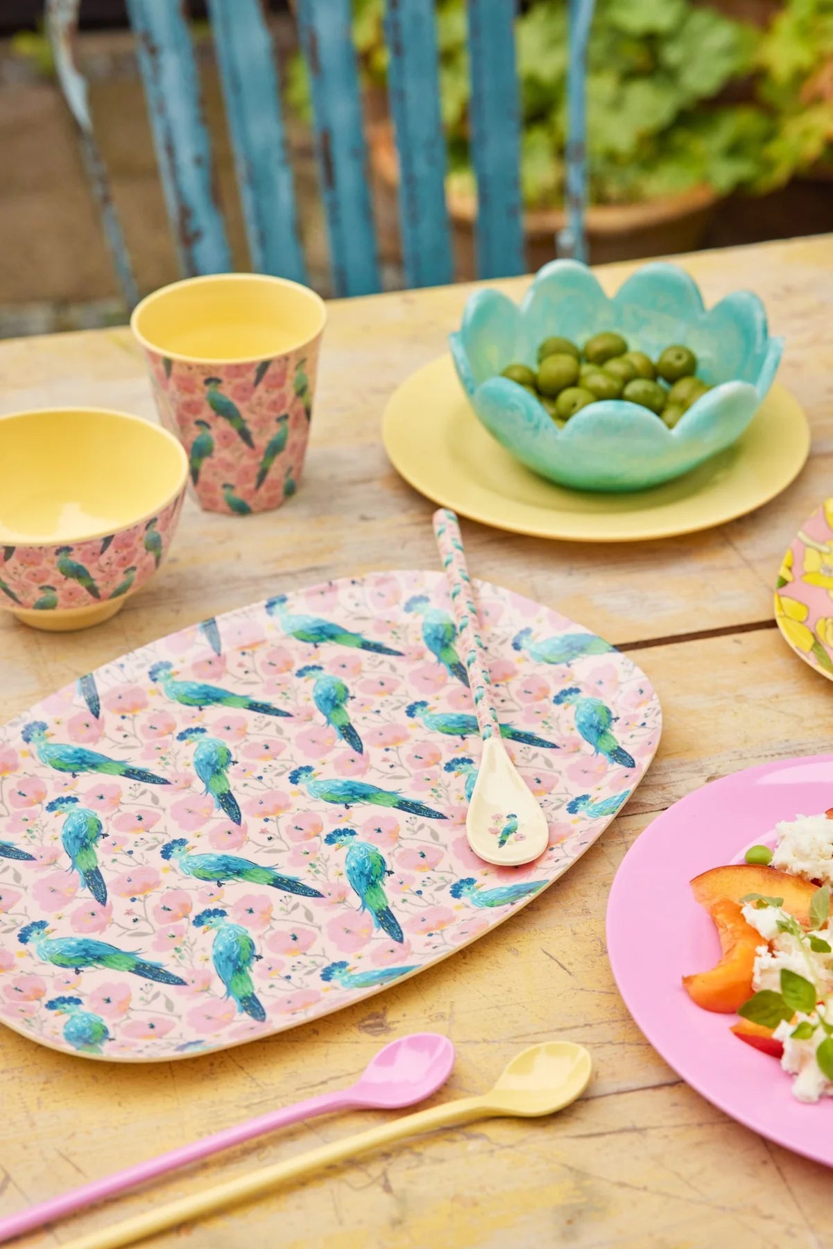 Melamine Exotic Bird Print Set