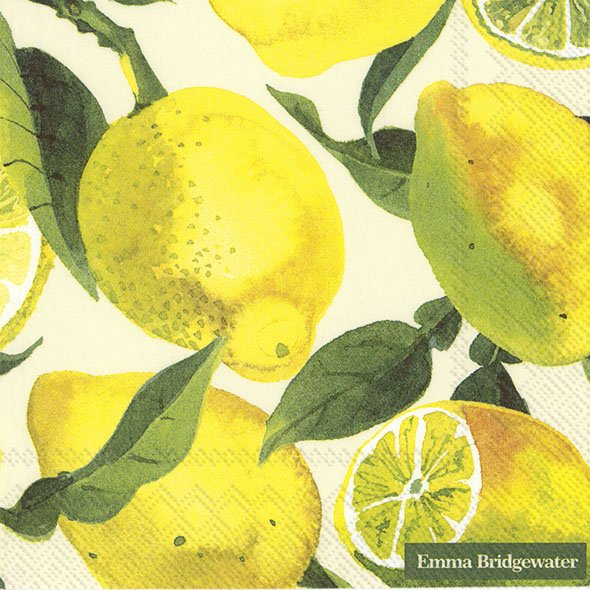 Lunch Napkins Summer 2025