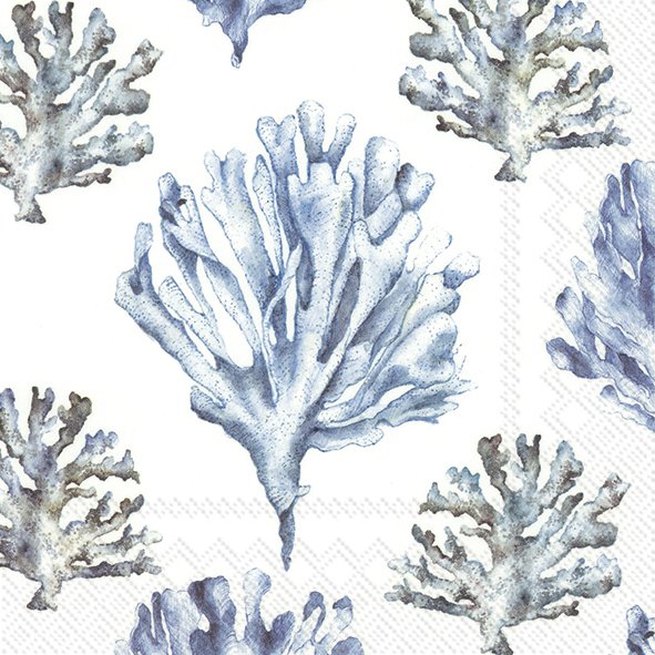 Lunch Napkins Summer 2025