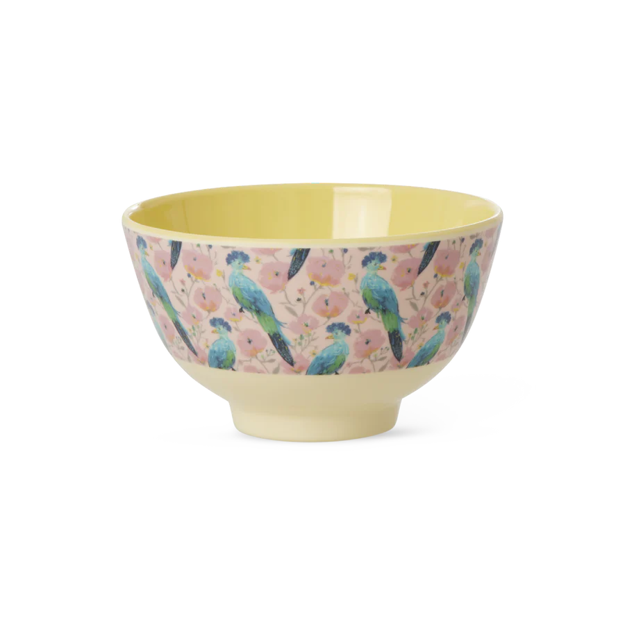 Melamine Exotic Bird Print Set