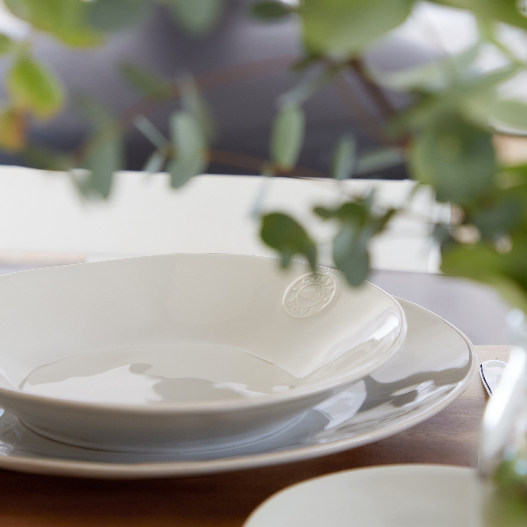 Nova Soup & Pasta Plate