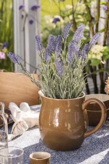 Lavender in Pot