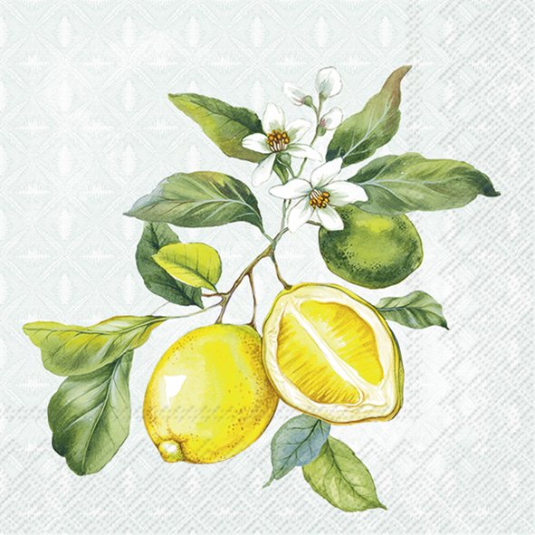 Cocktail Napkins Summer 2025