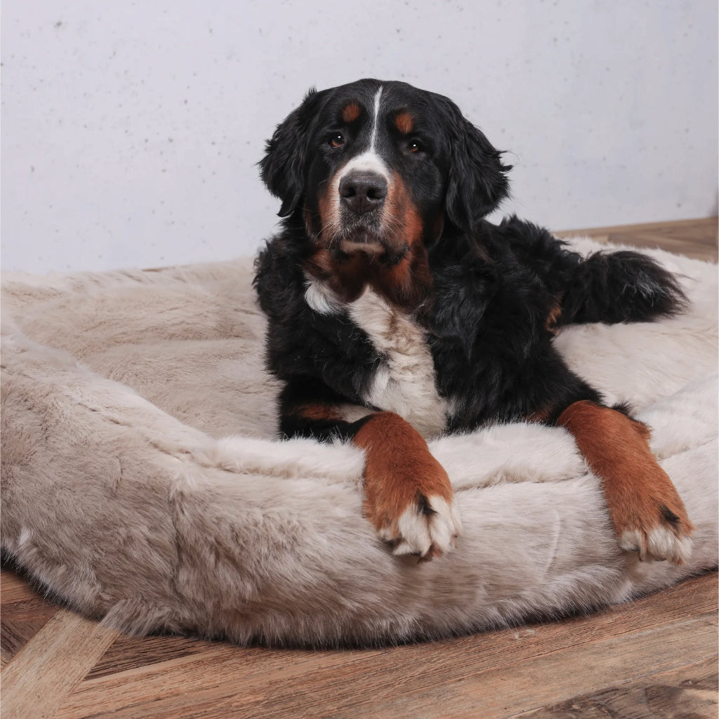 Harvey Arctic Faux Fur Pet Bed