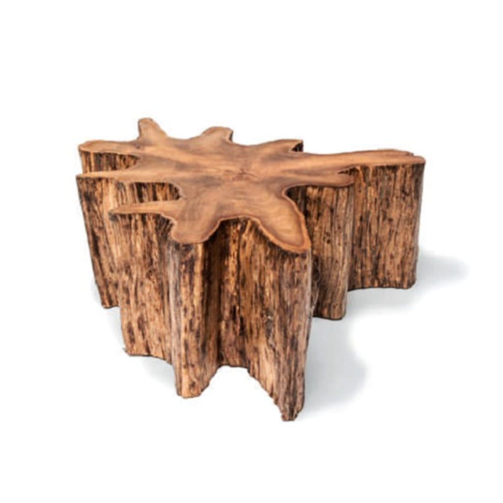 Andre Organic Shape Coffee Table