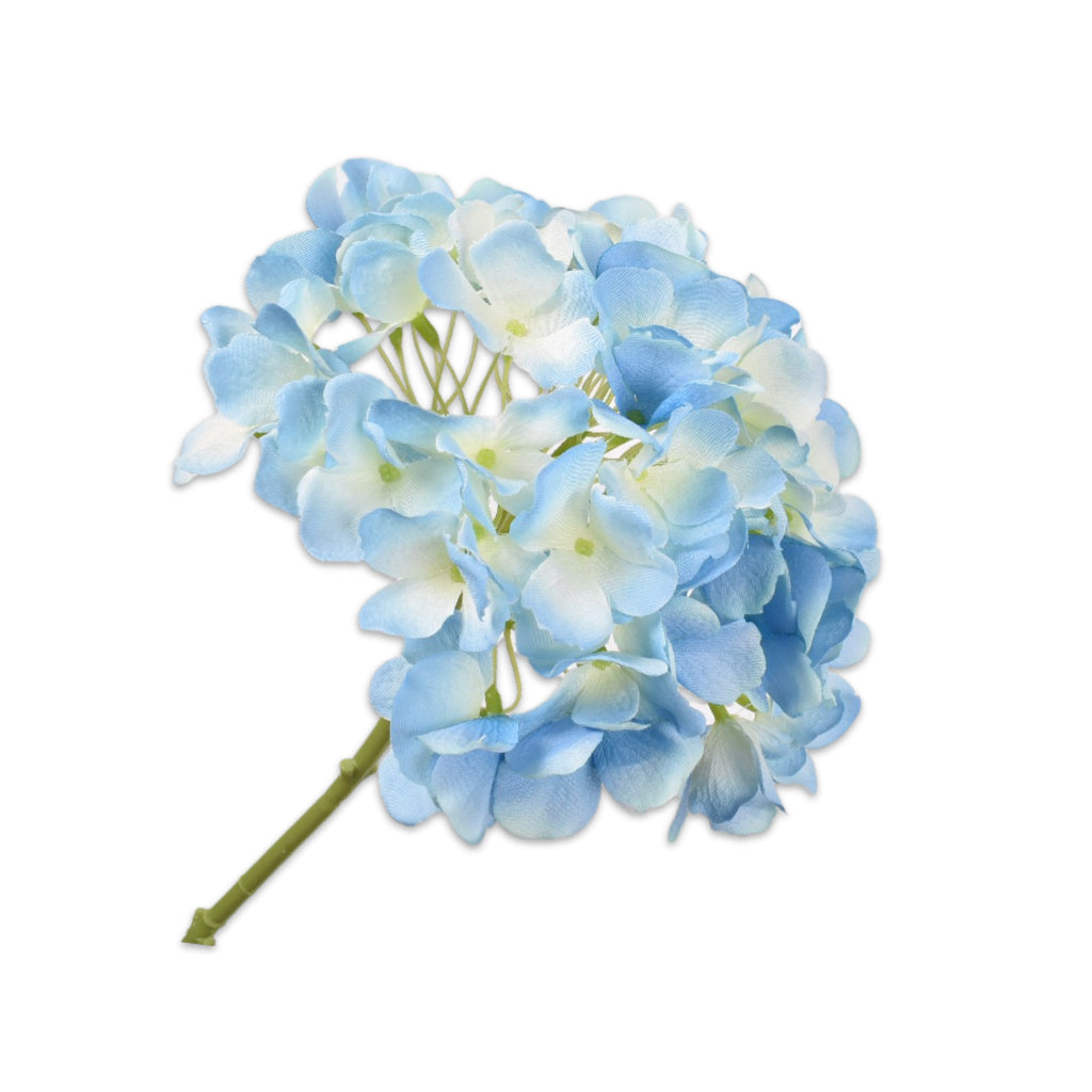 Hydrangea Stem