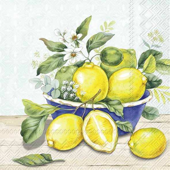 Lunch Napkins Summer 2025