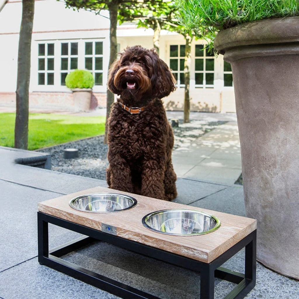 Roma Oak Elevated Pet Bowl