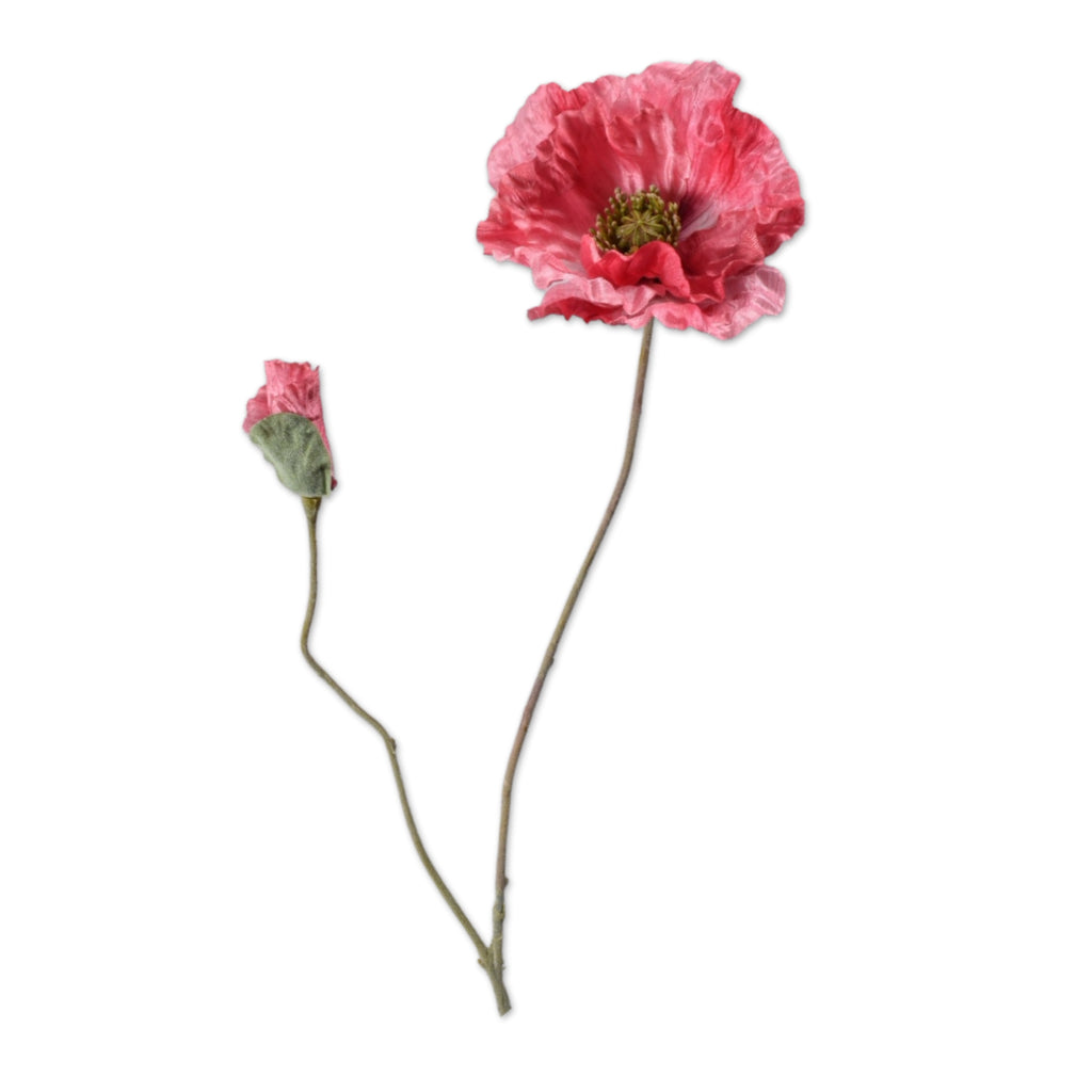 Poppy Stem