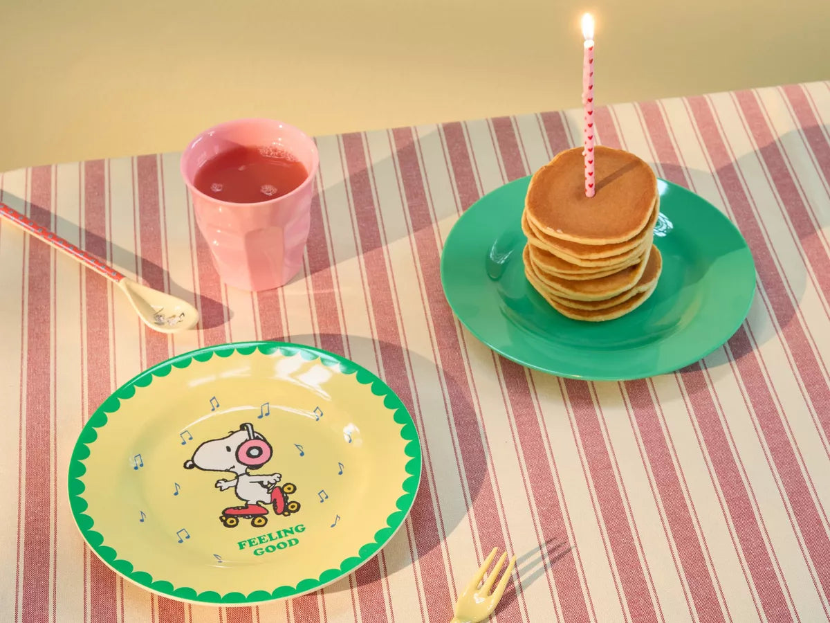 Melamine Snoopy Print Set