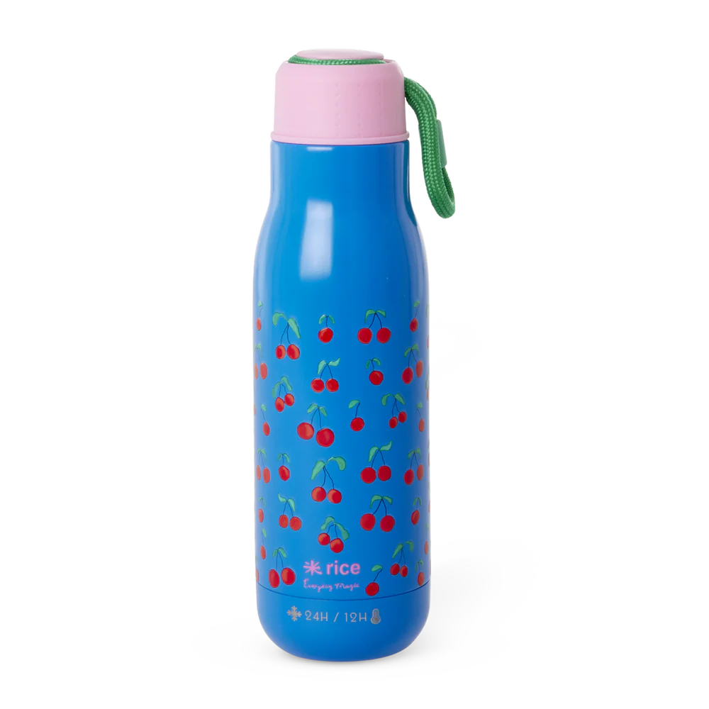 Stainless Steel Drinking Bottle