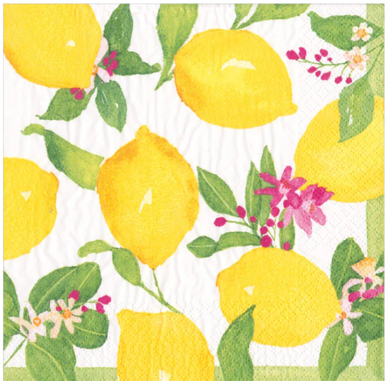 Caspari Boxed Cocktail Napkins (40 pcs)