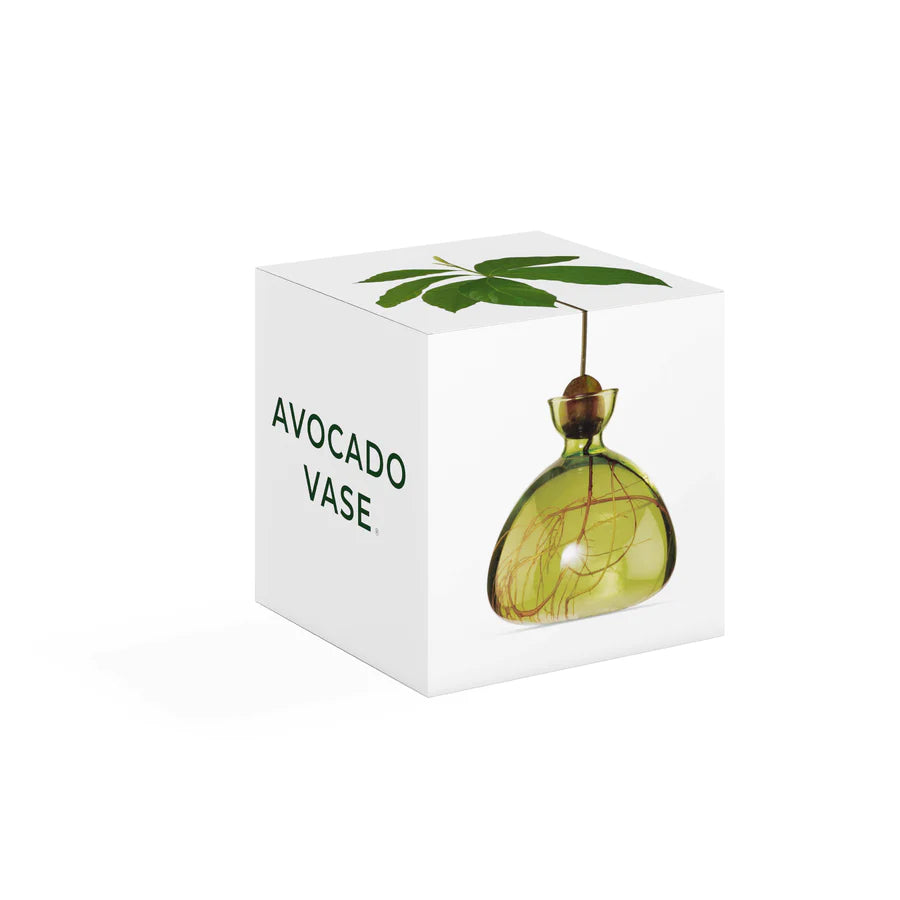 Avocado Vase