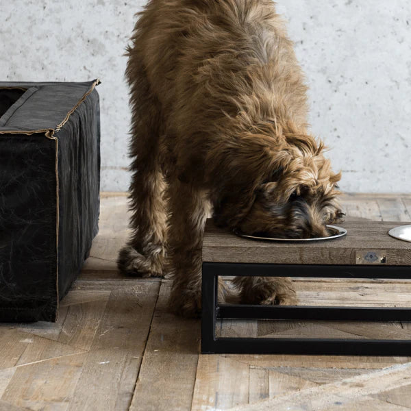 Roma Oak Elevated Pet Bowl