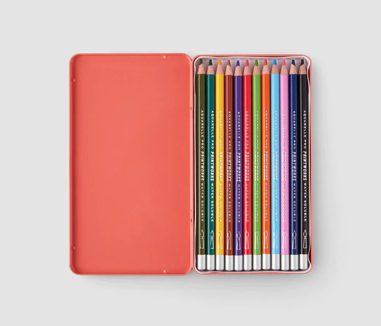 Colour Pencils (Set of 12)