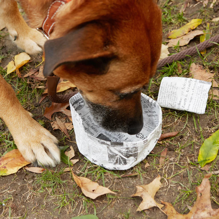 Fake News Water Bowl