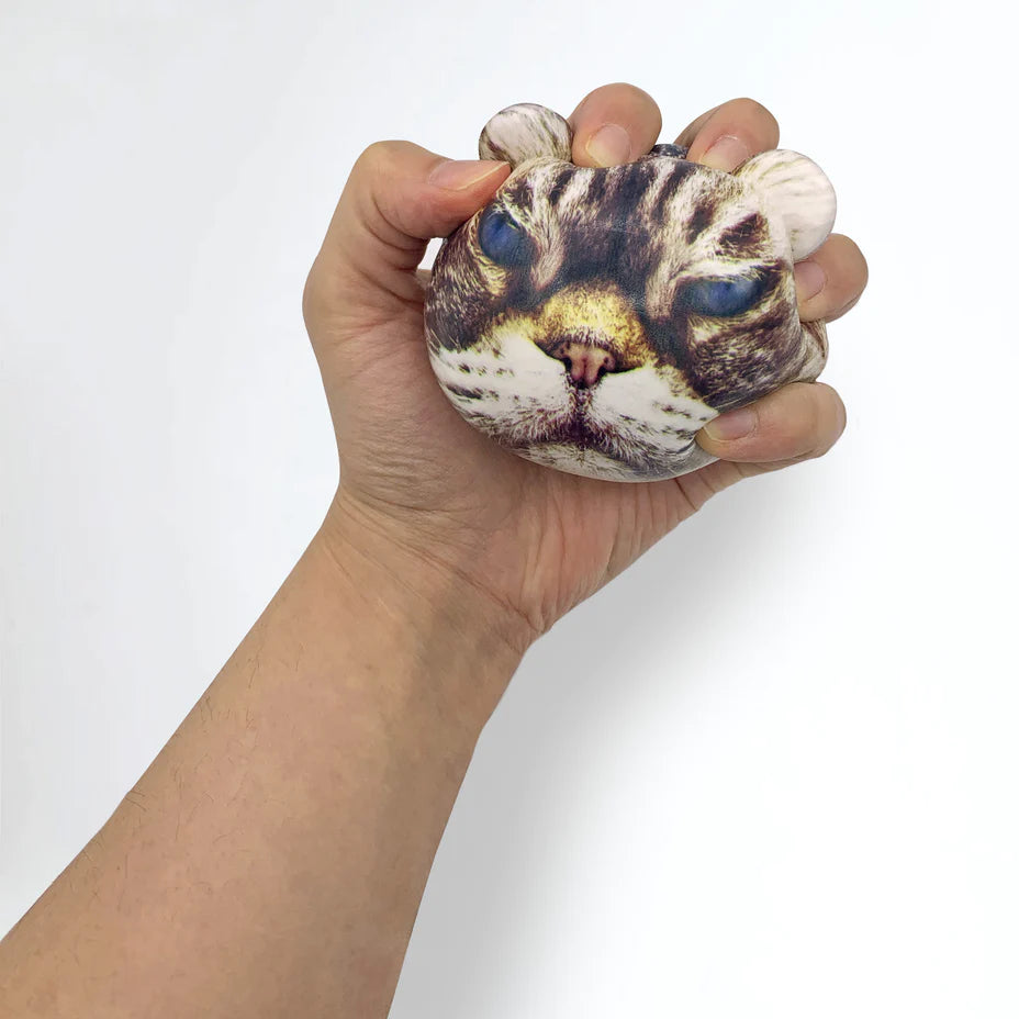 Cat Stress Balls