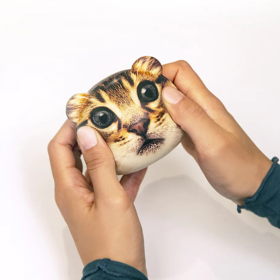 Cat Stress Balls